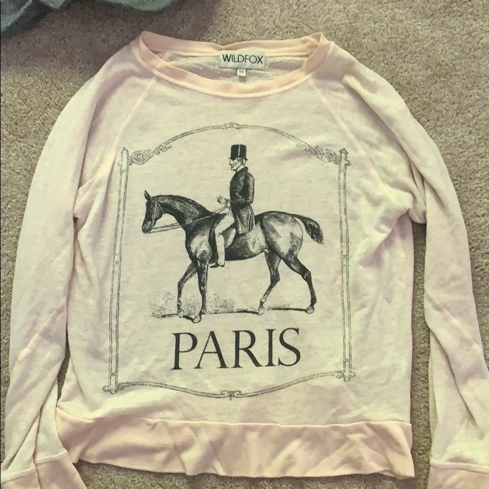 Wild fox punk long sleeve sweatshirt